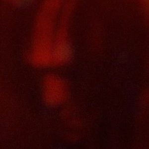 Meet your Posher, Tanner